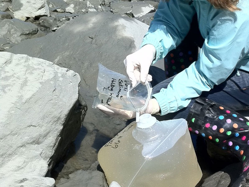 Dr. Norman collecting water samples in upper Cook Inlet for fecal pathogen testing