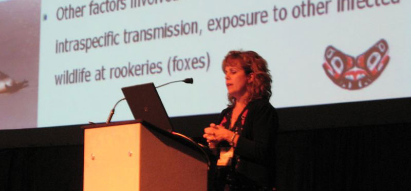 Dr. Stephanie Norman presenting study on Leptospira infection at 2007 SMM conference